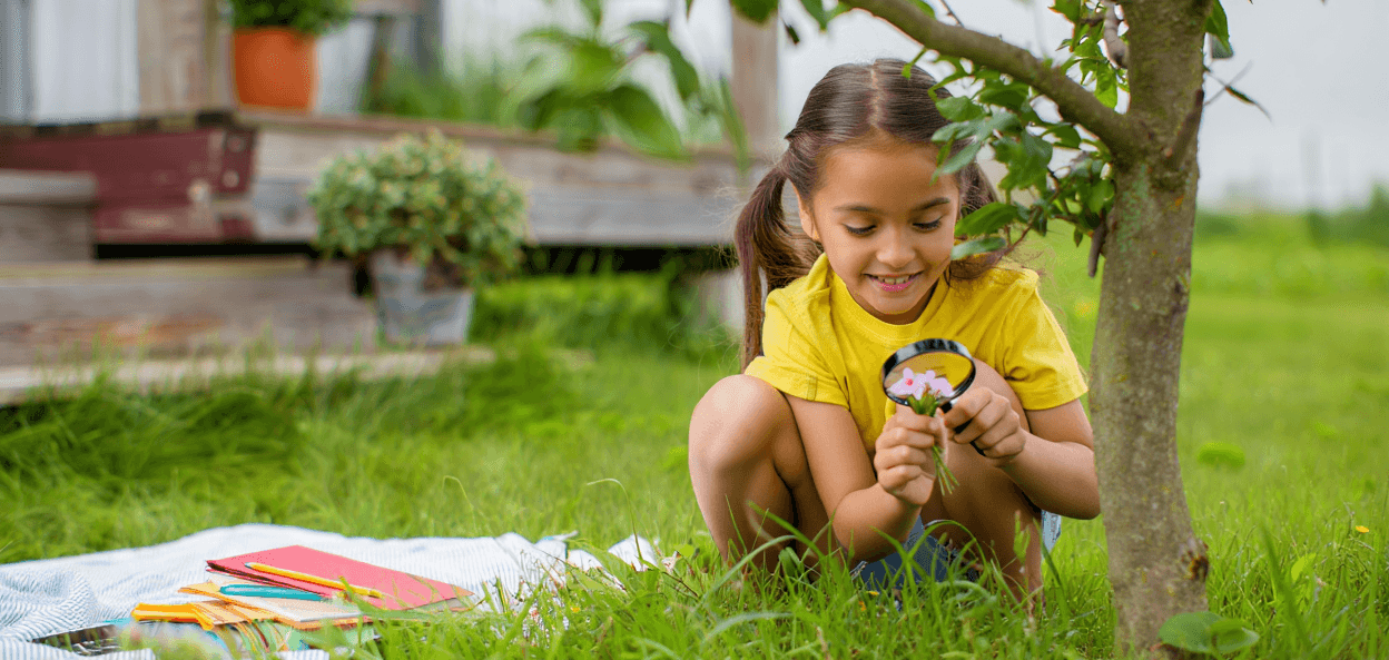 Child uses magnifying glass to examine pink flowers in green grass.